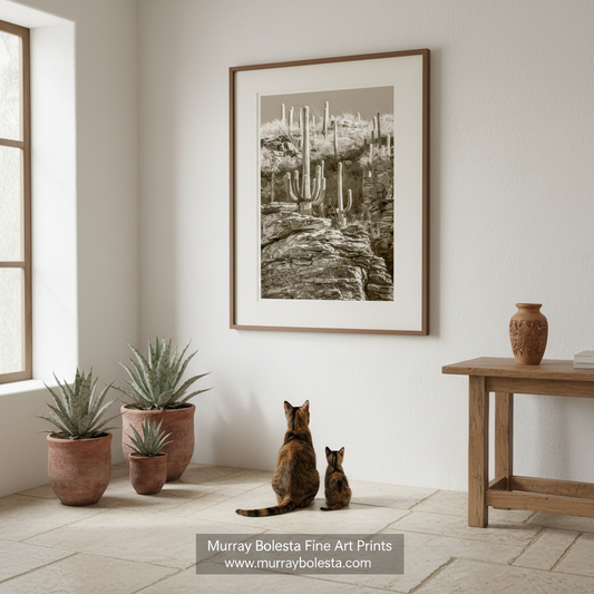 Esperanto Canyon saguaro cactus Tucson Arizona by Murray Bolesta! A framed black and white art print of a desert landscape with cacti is displayed on a white wall in a bright room. Two cats are sitting on the floor below the print, along with potted succulents, a wooden table, and a ceramic vase.