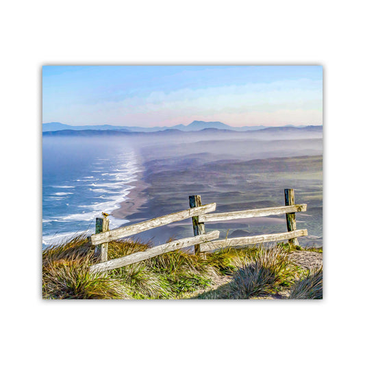 Point Reyes National Seashore California Coast Art Print with Little Bird