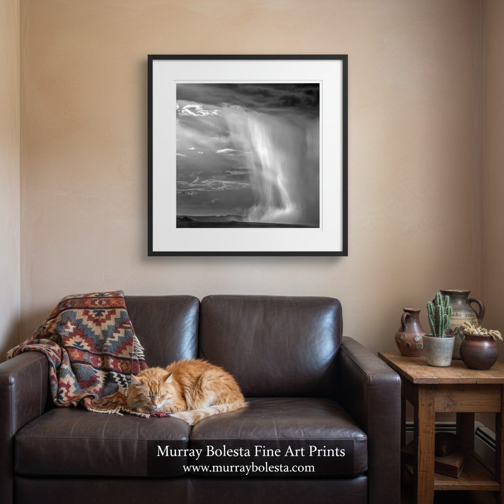 Tucson Arizona Landscape Square Print - Black and White Desert Monsoon Art
