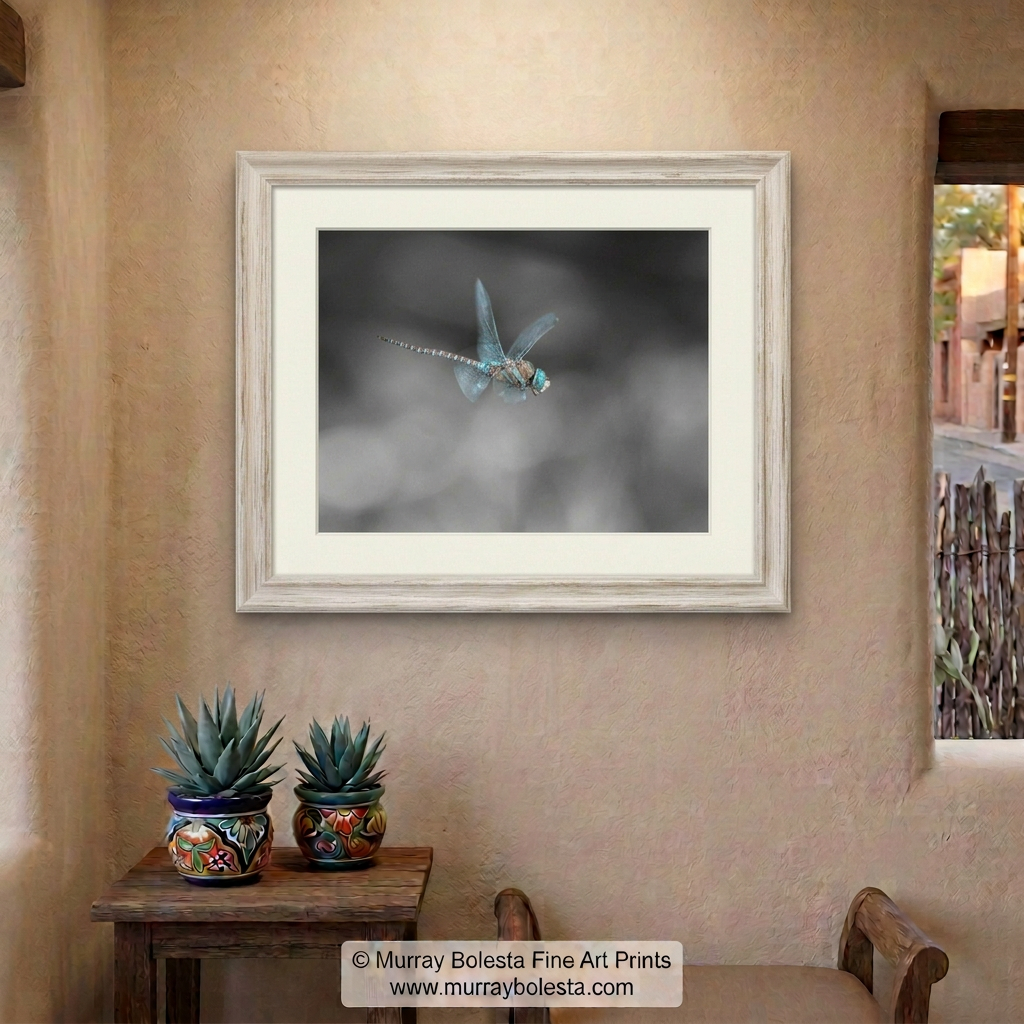 Flying dragonfly insect art by Murray Bolesta