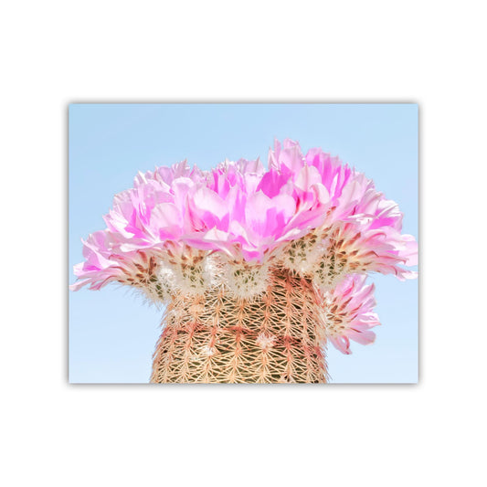 Southwest Cactus Blossom Art – Pink and Magenta Wall Decor Print