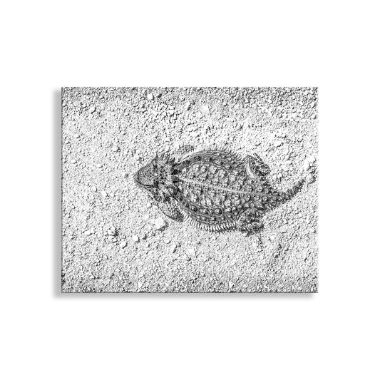 Desert Horned Lizard Wall Art | Arizona Wildlife Art Print