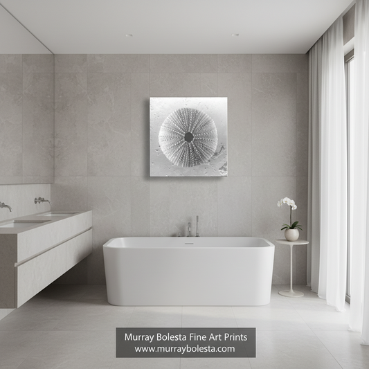 Sea Urchin Square Art – Black & White Seashell Wall Decor