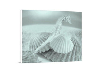 Bathroom Wall Decor with Seahorse | Surreal Seashell Art Photo