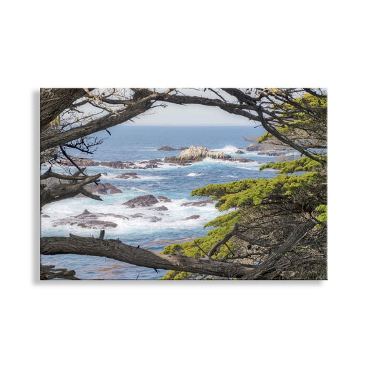 Carmel by the Sea Art Print | Point Lobos with Monterey Cypress Trees
