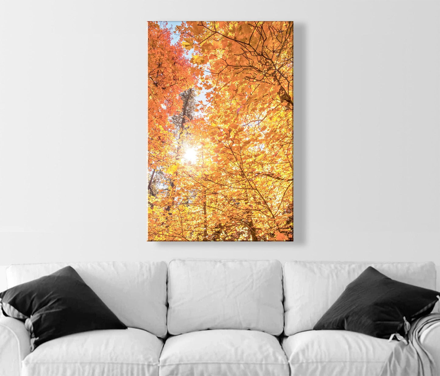 Fall Forest Fine Artwork with Autumn Leaves in Santa Catalina Mountains