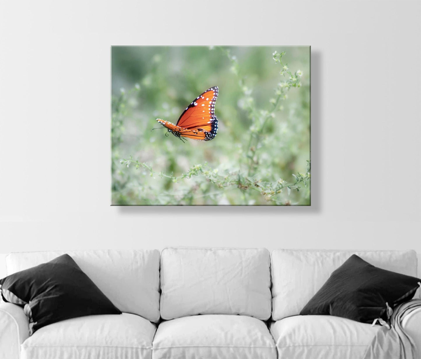 Queen Butterfly in Flight – Arizona Insect Nature Wall Art