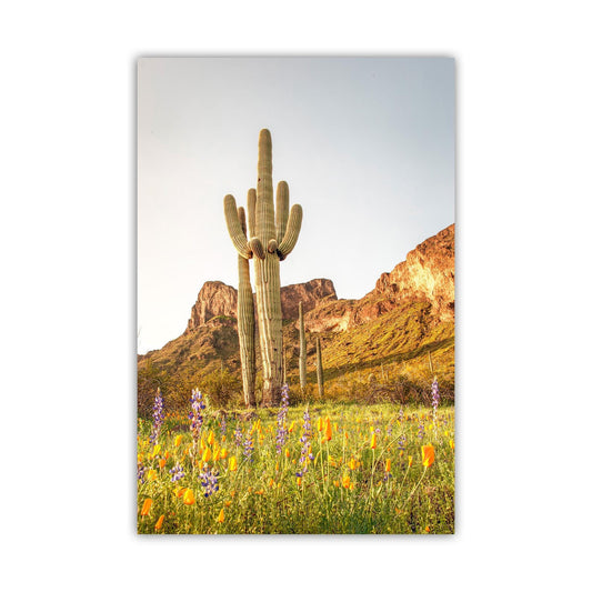 Tucson Landscape with Saguaro Cactus and Picacho Peak Desert View