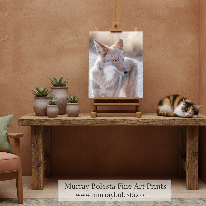 Arizona Desert Coyote Art - Tucson Wildlife Photography Print