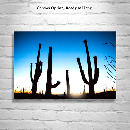 Cactus Sunset Silhouette Print – Arizona Saguaro Desert Wall Art