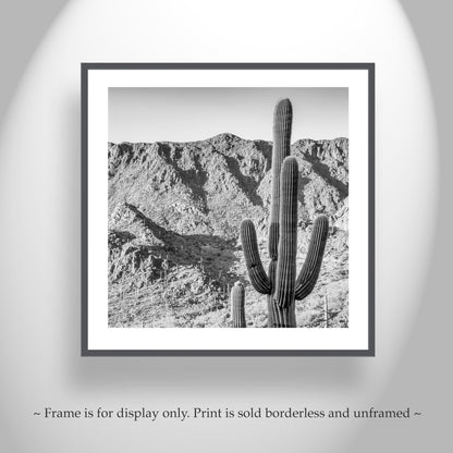 Square Black and White Desert Landscape Cactus Wall Decor
