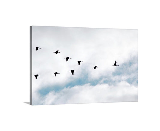 Sandhill Crane Birds in Flight Art Print | Avian Fine Art Gift