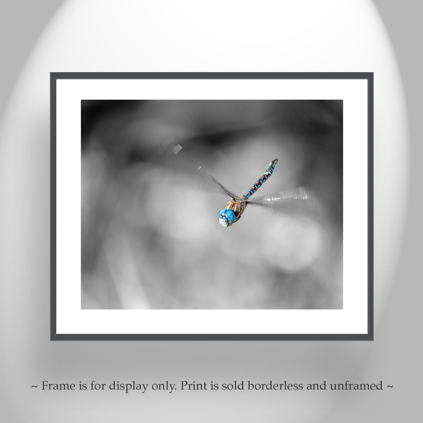 Flying Dragonfly Print | Black and White Insect Fine Art