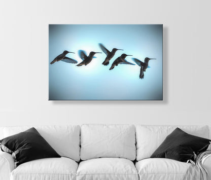 Bird Wall Decor with Hummingbird in Flight | Flying Bird Art Photography Print