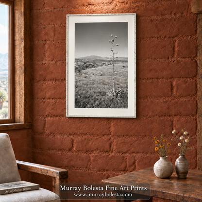 Empire Ranch agave artwork Las Cienegas Conservation Area by Murray Bolesta