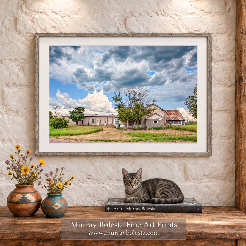 Empire Ranch House art print by Murray Bolesta