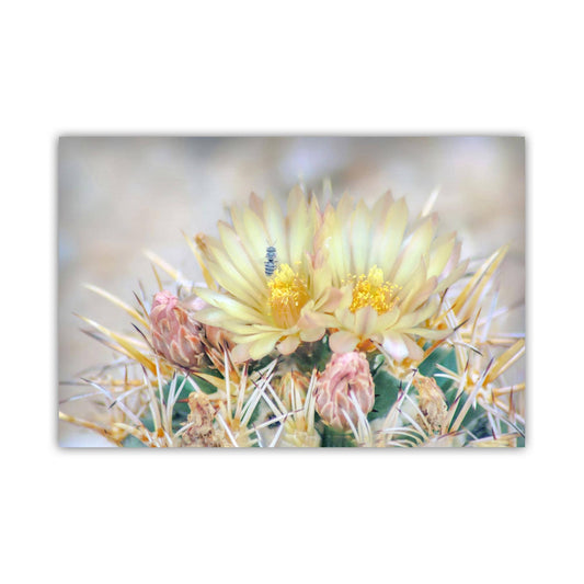 Pink Cactus Flower Art with Bee | Tucson Arizona Botanical Wall Print