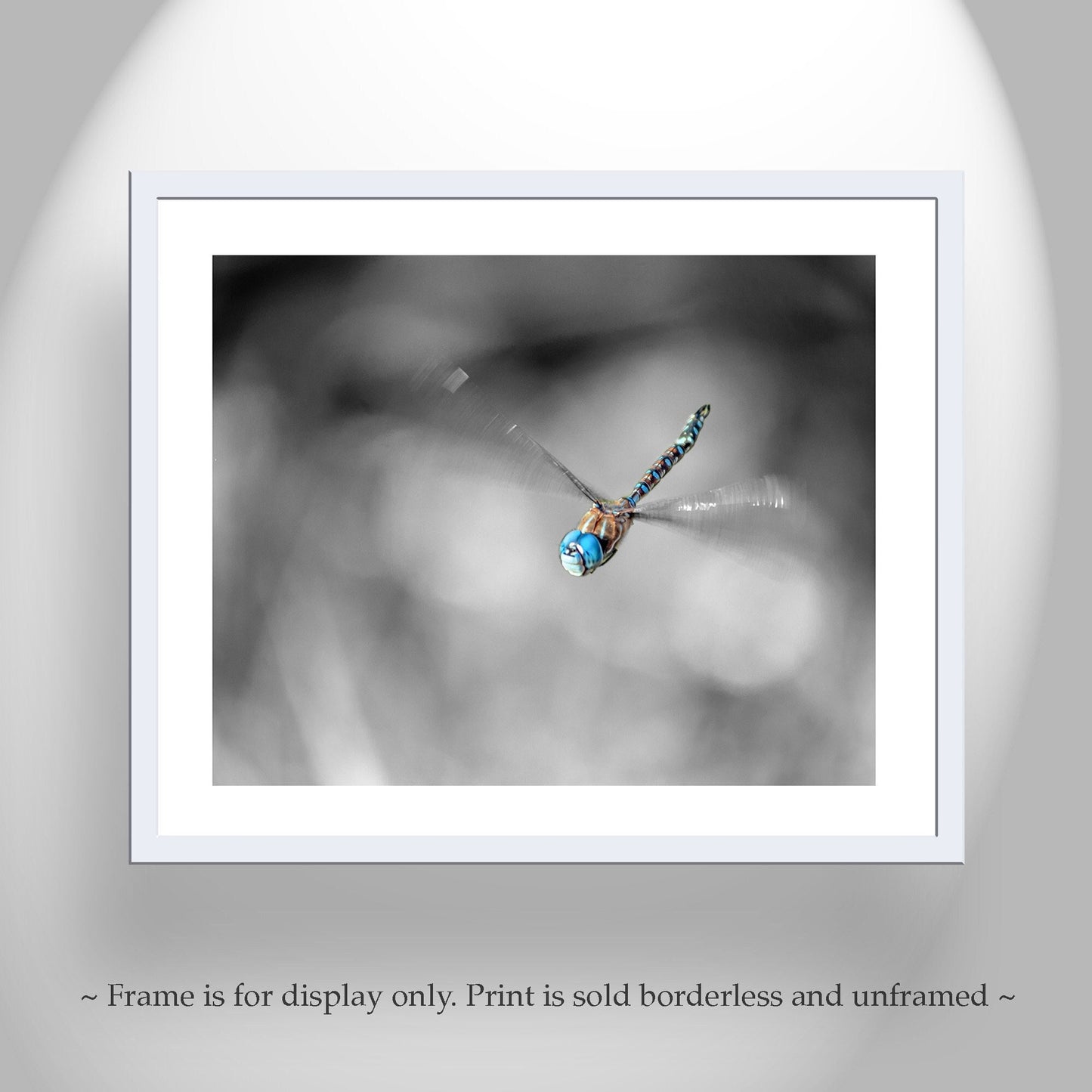 Flying Dragonfly Print | Black and White Insect Fine Art