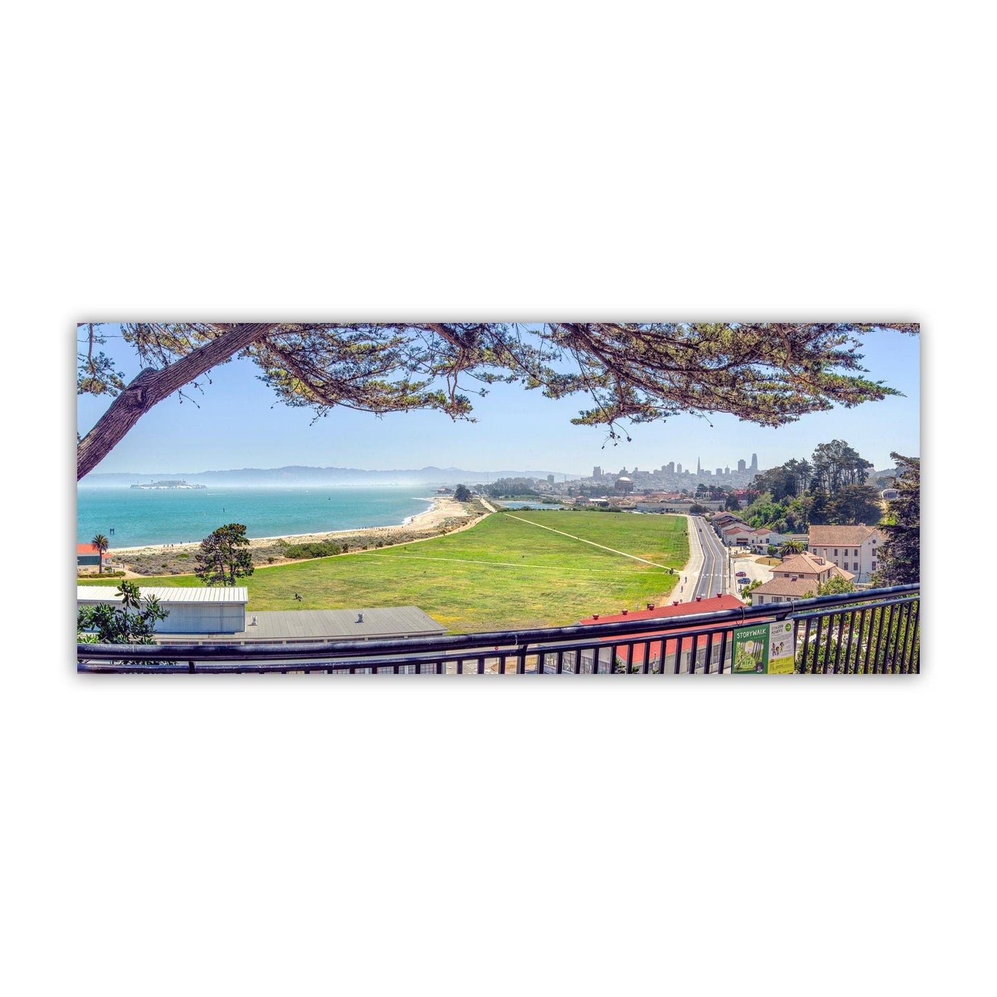 Crissy Field Panoramic Wall Art Print with Monterey Cypress Tree