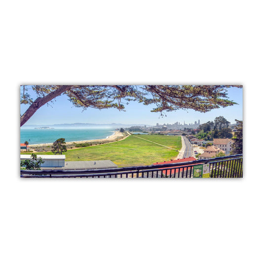 Crissy Field Panoramic Wall Art Print with Monterey Cypress Tree
