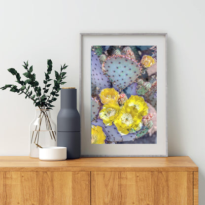 Santa Rita Prickly Pear Art – Desert Cactus Nature Wall Decor
