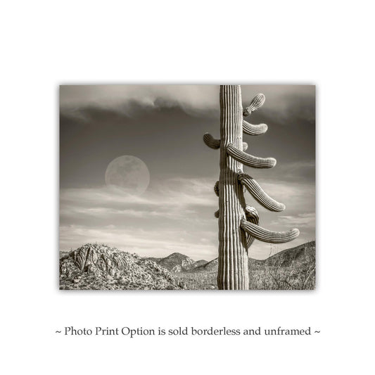 Cactus Moon Landscape Wall Decor | Southwestern USA Desert Saguaro