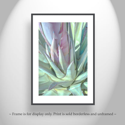 Pastel Blue Agave Botanical Wall Art Print from Tucson Desert