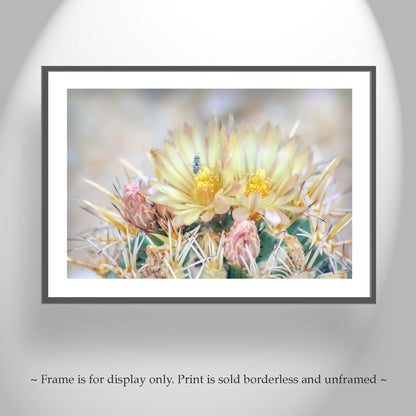 Pink Cactus Flower Art with Bee | Tucson Arizona Botanical Wall Print