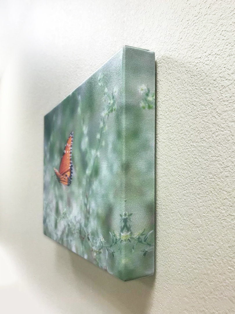 Queen Butterfly in Flight – Arizona Insect Nature Wall Art