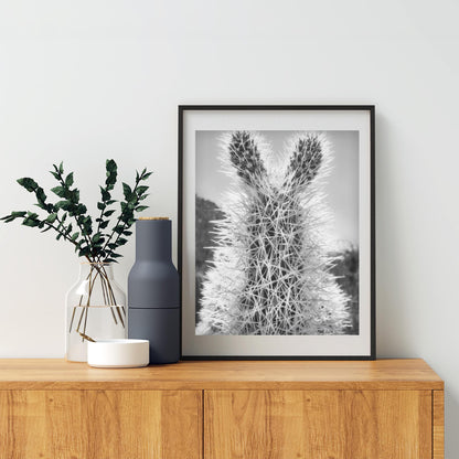 Tucson Arizona Cholla Cactus Art – Fine Art Southwestern Desert Art