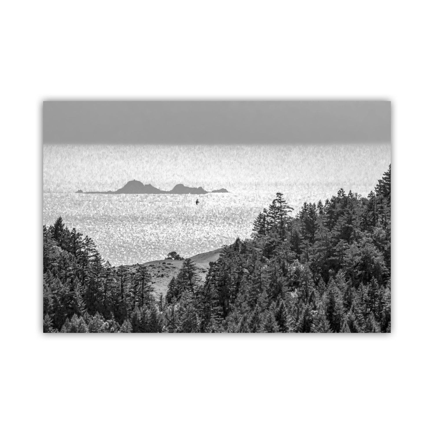 A black and white image depicting a serene landscape with a forested area in the foreground and a body of water in the background, with a small island visible in the distance. Mount Tamalpais Ocean Art Print with Farallon Islands - Marin County