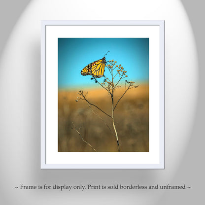 Monarch Butterfly Fine Art Print | Unique Original Nature Wall Decor