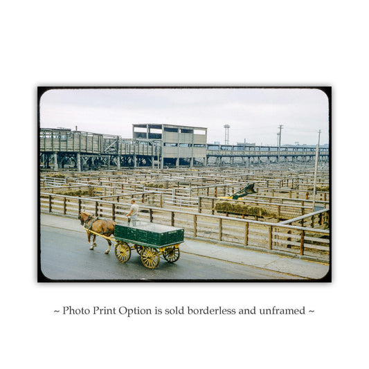 Vintage Chicago Union Stockyards Mid-Century Wall Art