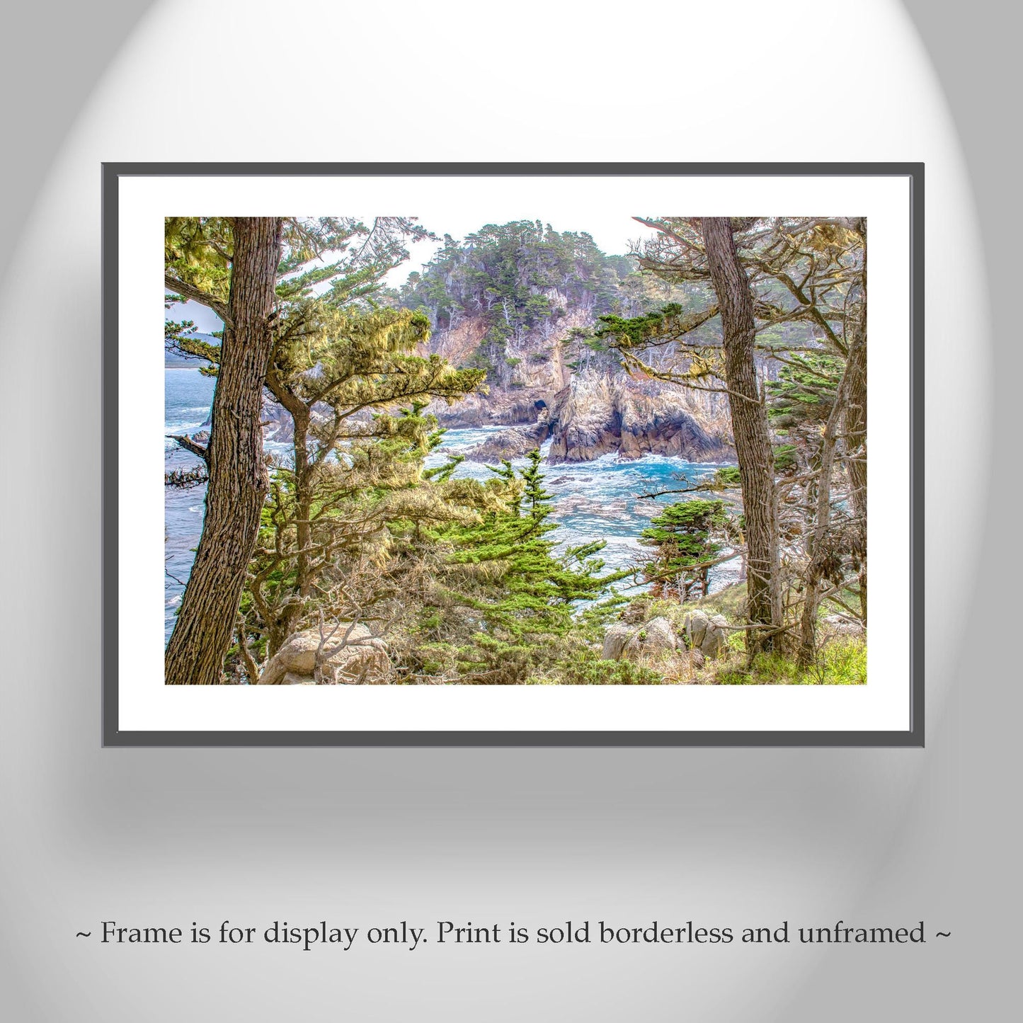 Point Lobos Art Print – Carmel by the Sea Monterey Cypress Trees