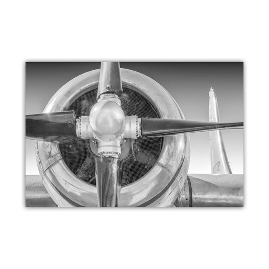 Boeing Superfortress WWII Warbird Art Print in Black and White
