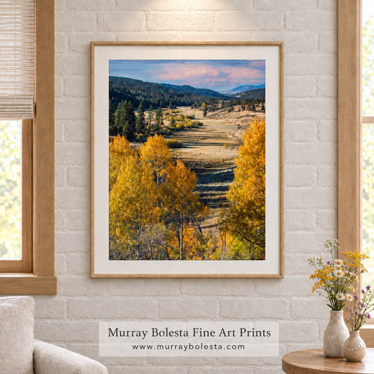 fall aspen ranch land by Murray Bolesta