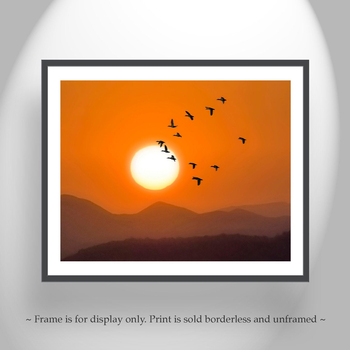 Flying Birds at Sunset – Arizona Desert Landscape Fine Art Print