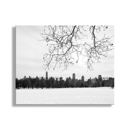 Central Park Winter Black and White Print | NYC Snow Scene Wall Art