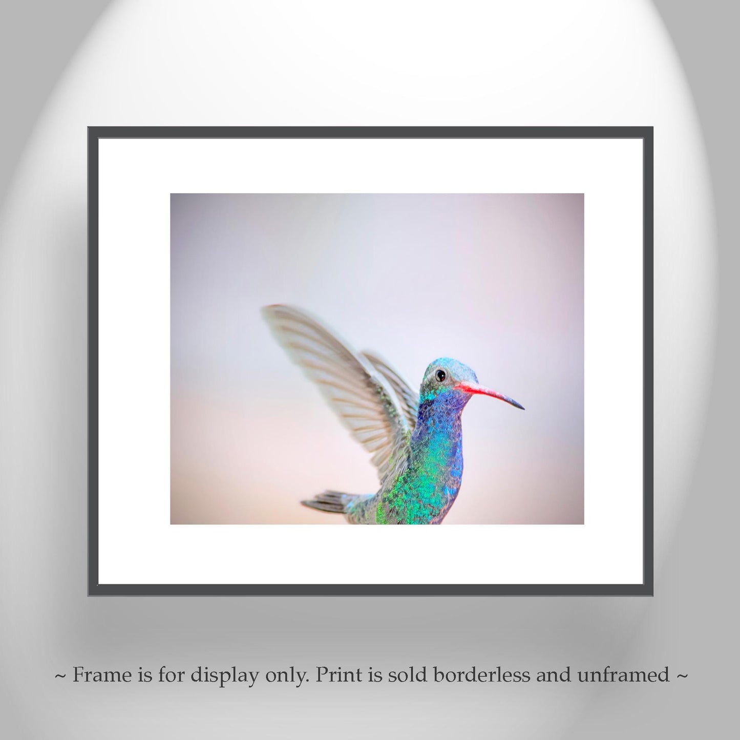 Hummingbird Art Print as Pastel Minimalist Bird Art