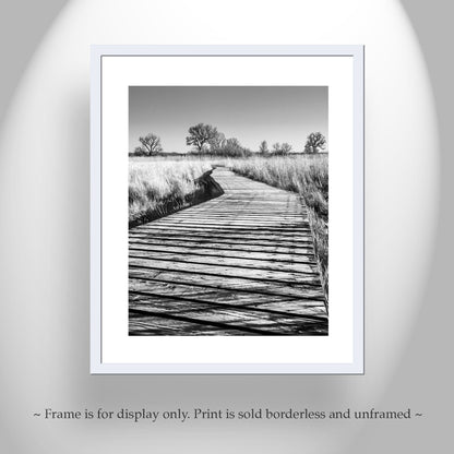 Surreal Black & White Boardwalk Art Print | Arivaca Cienega Arizona