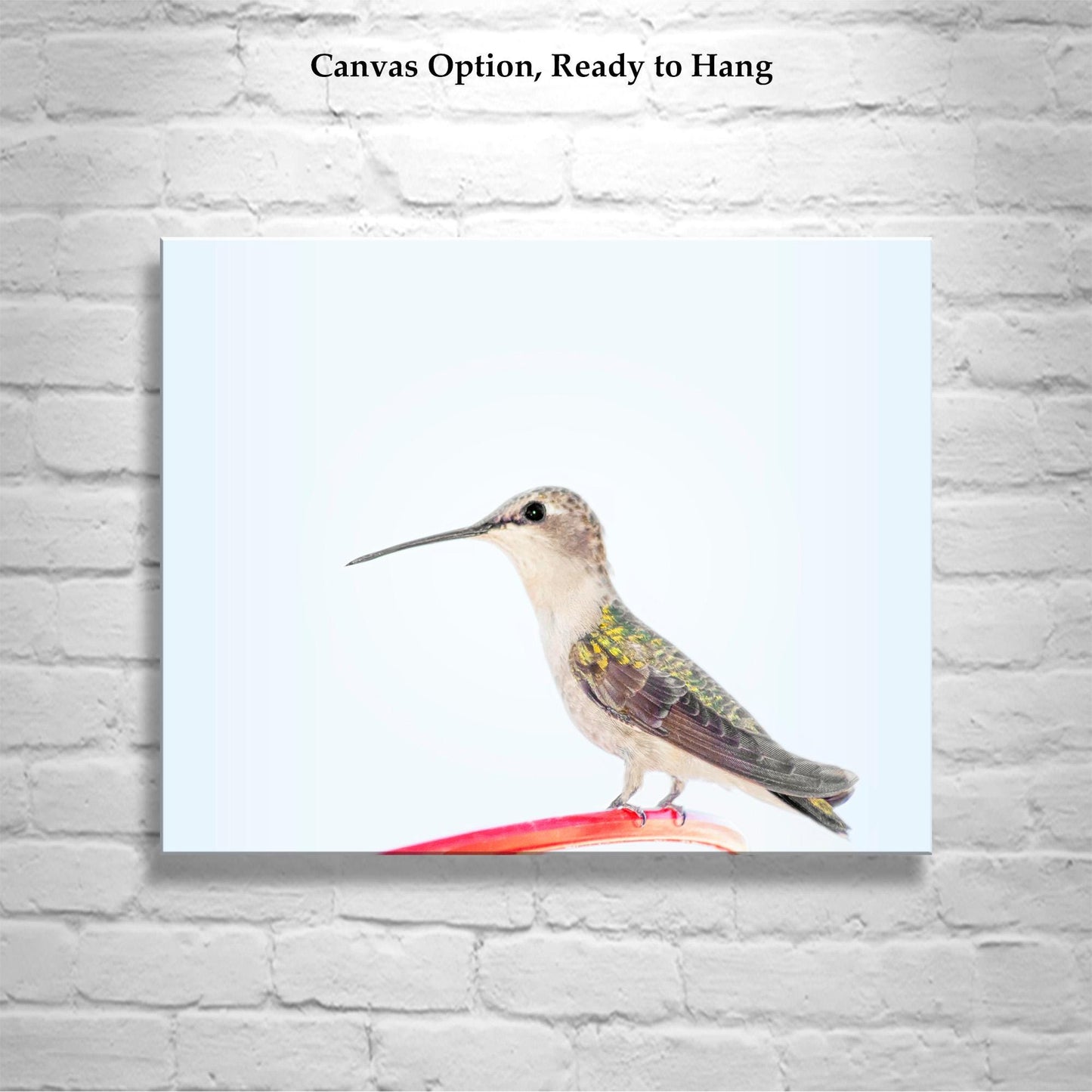 Hummingbird Art Fine Art Print as Serene Minimalist Wall Art