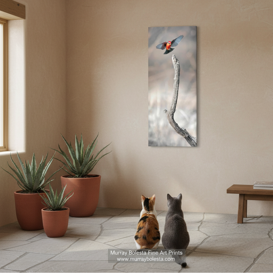 Arivaca Arizona bird art by Murray Bolesta! A vertical canvas art print depicting a small bird perched on a branch, displayed on a beige wall in a styled room with two cats sitting below and potted plants to the left.