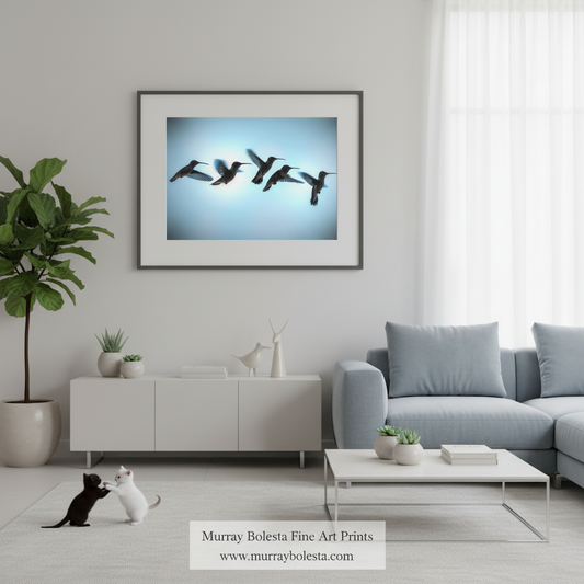 A framed art print depicting a flock of birds flying against a light blue sky, displayed on a light gray wall in a modern, minimalist living room with a sofa, coffee table, and potted plant. A watermark for 'Murray Bolesta Fine Art Prints' is visible at the bottom.