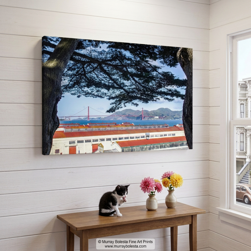 Fort Mason San Francisco art print with Monterey Cypress trees by Murray Bolesta