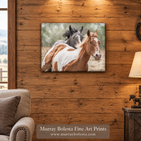 Frisky horses artwork by Murray Bolesta