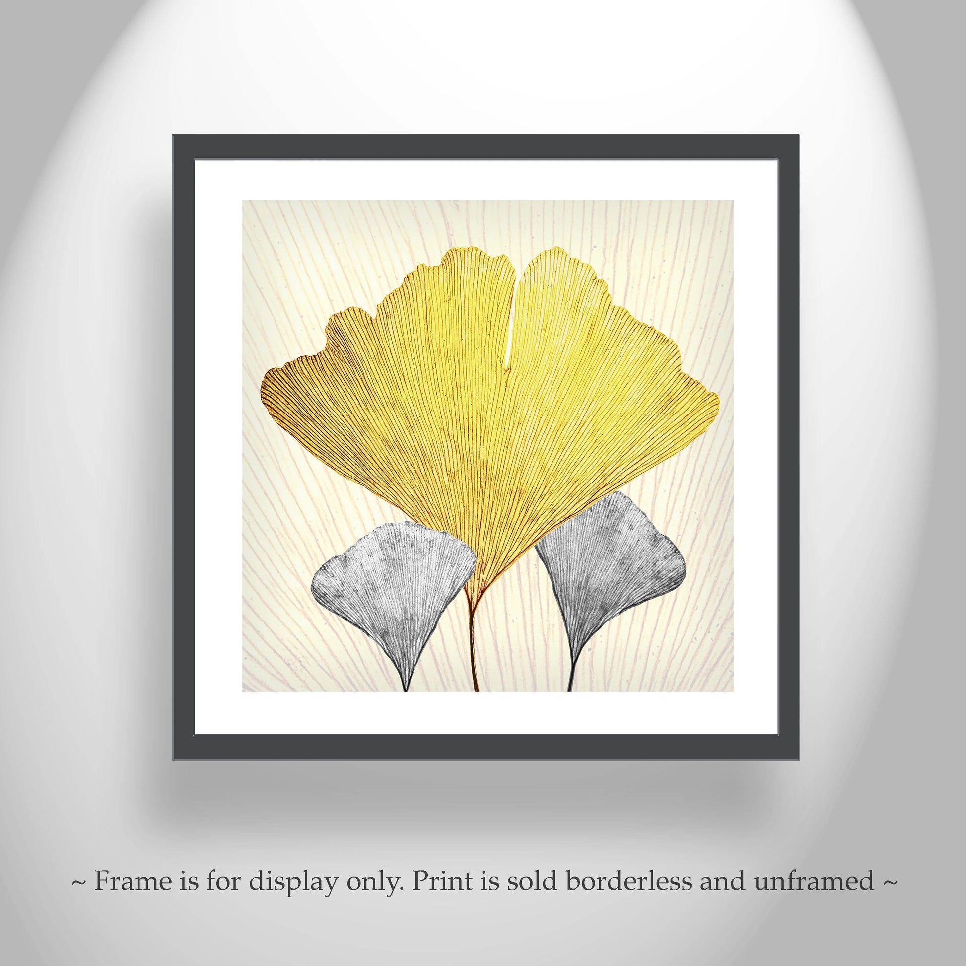 Framed artwork of two leaves, one yellow and one gray, on a light background. Gingko Leaf Print as Fine Art Nature Gift