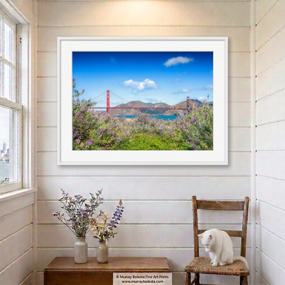 Golden Gate wildflower dunes at Presidio with Golden Gate Bridge in background, art print by Murray Bolesta
