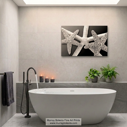 Sea Star Seashell artwork in black & white by Murray Bolesta!