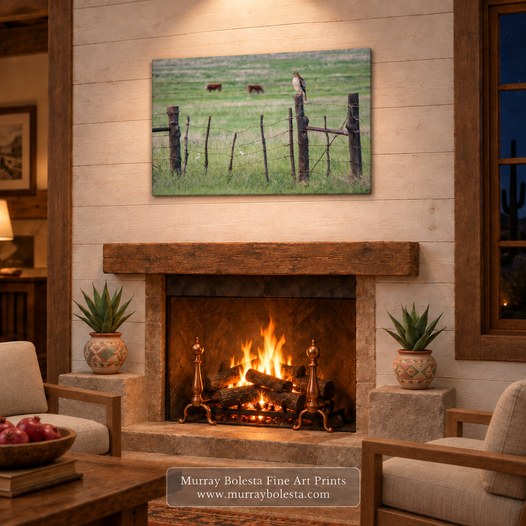 Hawk bird artwork sat Arizona border ranch by Murray Bolesta