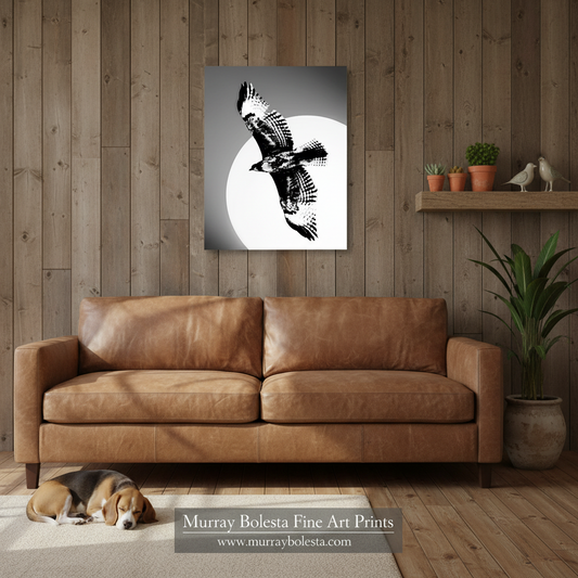 Arizona hawk in flight art by Murray Bolesta. A black and white art print of a bird flying in front of a large moon, displayed on a wood-paneled wall above a brown leather sofa in a living room setting.
